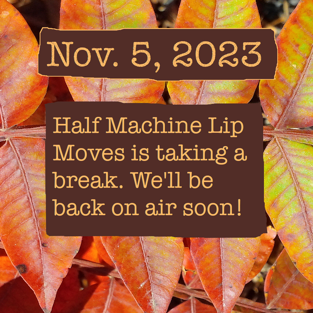 Picture with some leaves in the background. The text reads, &ldquo;November 5, 2023. Half Machine Lip Moves is taking a break. We&rsquo;ll be back soon.&rdquo;