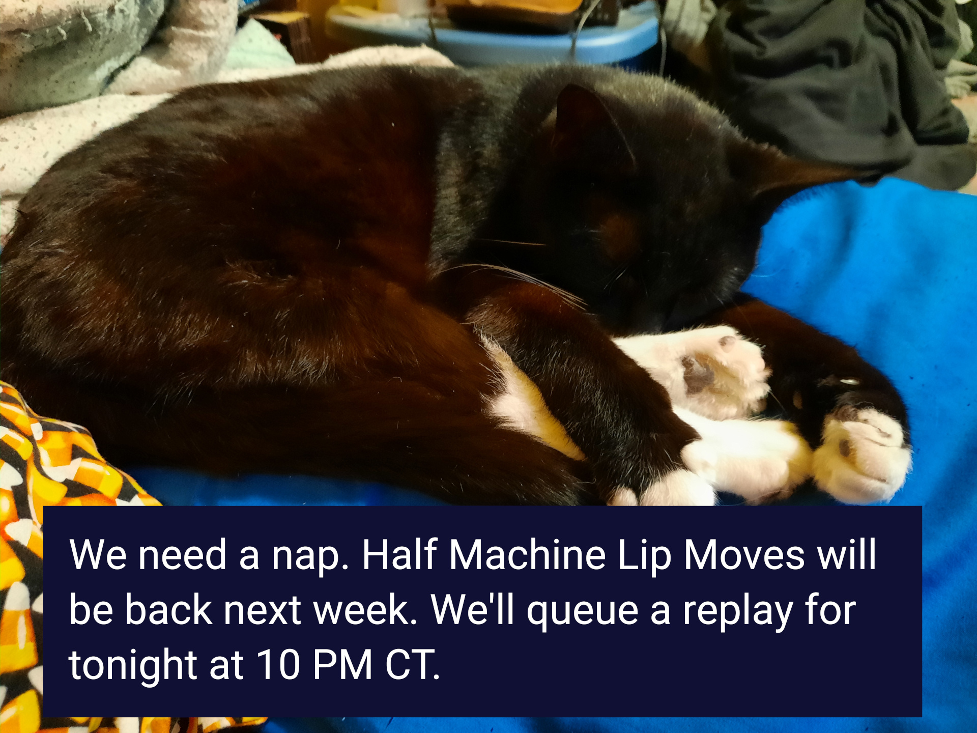 The picture shows a tuxedo cat, curled up and sleeping on a pillow. There is a dark blue box with inside it that says, &ldquo;We need a nap. Half Machine Lip Moves will be back next week. We&rsquo;ll queue up a replay tonight at 10 PM CT.&rdquo;